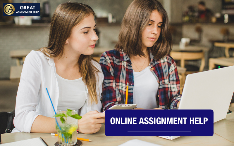 Online Assignment Help